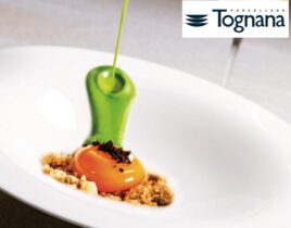 tognana_kataloog_2026